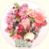 Timeless Memories - Click here to View more details about this Product
